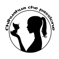 chihuahuachepassione