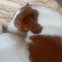 original sound - vivienreak