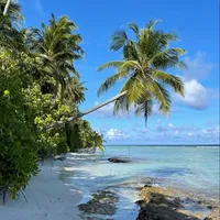 original sound - caribbeanspeduppp