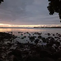 original sound - prescil_kiwi