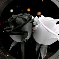 original sound - 😘Blac K🖤A llBest😘