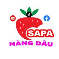 nhạc nền - NÀNG DÂU SAPA