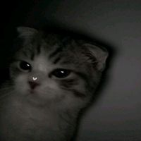 uselesshaha4