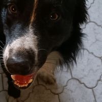 nonticonosco72