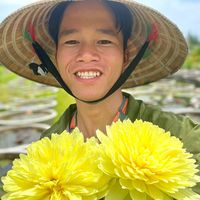nhạc nền - Hoa Súng Nguyễn Pha