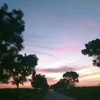 suara asli - Novitaaja2711