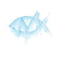 original sound - manoeuvresignite