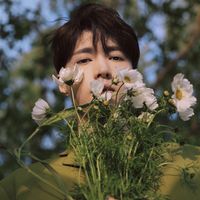 original sound - loey