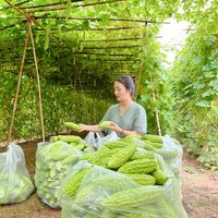 nhạc nền - Ngô Thị Mỹ Hạnh