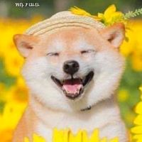 เสียงต้นฉบับ - 🧊Suphannee 🦔