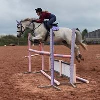 f.k_showjumping