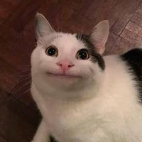 suara asli - ミーム
