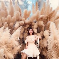 nhạc nền - Mỹ Thái