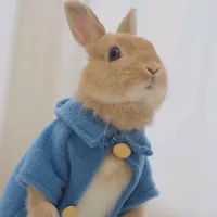 original sound - kiis10