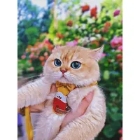 original sound - ewrbilli._.official