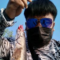 tae_natta