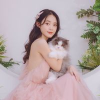 bunnykittyhouse