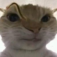 02.02.009