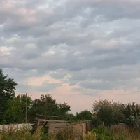 original sound - artistslive02