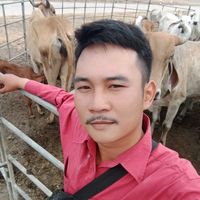 เสียงต้นฉบับ - พงษ์ คนเลี้ยงวัว 🐮🐂🌾