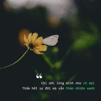 nhạc nền - Kiếp Nhân Sinh ❤️