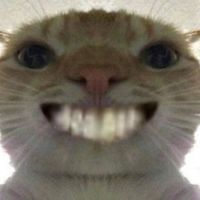 knypkbxbx