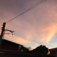 เสียงต้นฉบับ - ☘️