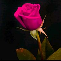 maryam__arslan89