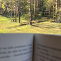 dźwięk oryginalny
