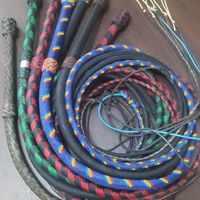 biciuitorul.oficiall