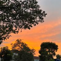 all i wanna do jay park