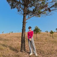 nhạc nền - Mai's Mai's