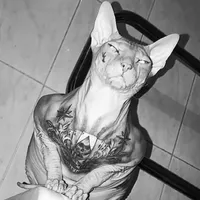 original sound - curs3d.vsp