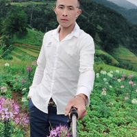 nhạc nền - Thiên Đường Giả-Địa Ngục Thật!