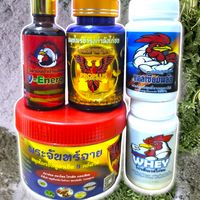 เสียงต้นฉบับ - อาจารย์พมูพระประแดง(สํารอง)