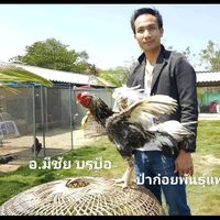 เสียงต้นฉบับ - อ.มีชัย บรบือ ป่าก๋อยแข้งหน้า