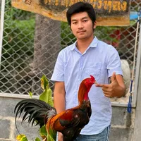 original sound - bbody99