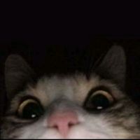 เสียงต้นฉบับ - Numalee611