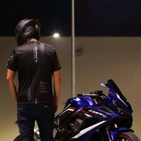 birdcbr650r