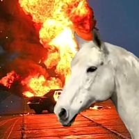 dragonxcorellaa