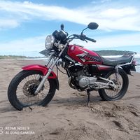 suara asli