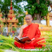 pinethonginsakoun