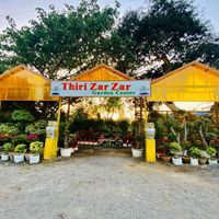 thirizarzar5