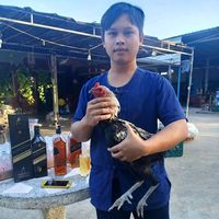 nyinyimyothet37