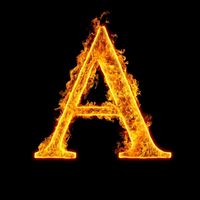 adamazzo_officiall