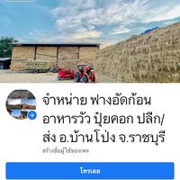 fang.banpong