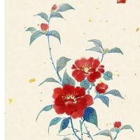 nhạc nền - Sơn Trà 山茶