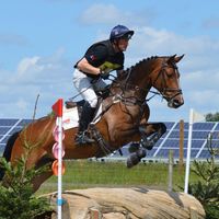 horsesoveranything