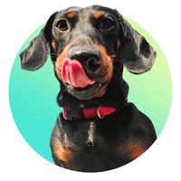 tizithelittlesausage