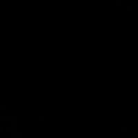 original sound - Capricon10